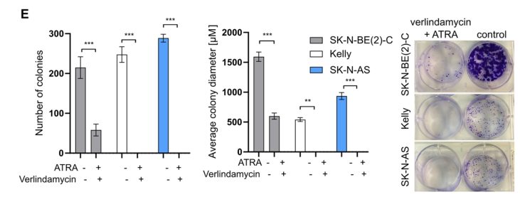 publication3.jpg